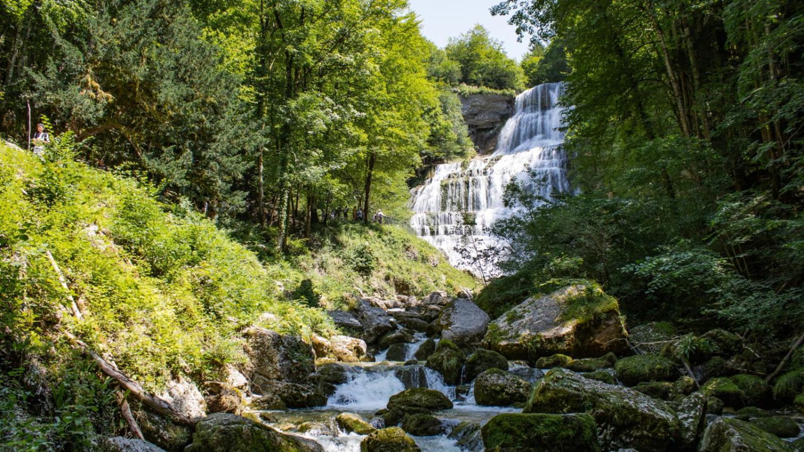 Apartamento T2 Cosy Au Coeur Du Haut-Jura, Parking Gratuit Morbier Exterior foto